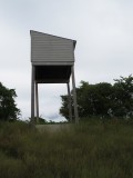 Big bat house