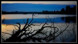 First light at Linlithgow Loch.