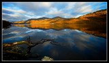 Still Reflections on Loch Lomond 