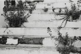 Image22.jpg