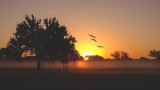 landscapefog.jpg