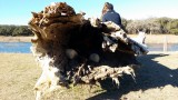 20160206_160323.jpg