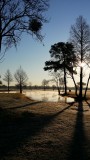 20160205_080133.jpg