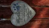 20160207_112229.jpg