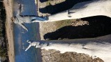 20160206_155001.jpg