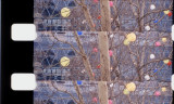 011938_Sat1p4.jpg