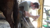 Dave the Farrier