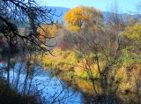 Ponds along the Yakima River