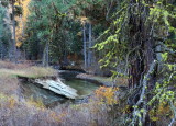 Fall on the Teanaway river