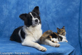 Lassie at 6 months