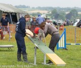 Dog Agility by National Animal Welfare Trust at Low Ham Steam Rally