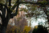DSC_3668.jpg