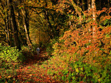 1_RockportRiverTrail.jpg