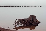 BakerLkLowerSandy020114_1.jpg