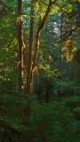 RockportStPrk070115_HDR2.jpg