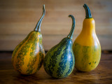 Leaning Gourds