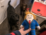 Donald Trump and the dogs  January 212016-1020941.jpg