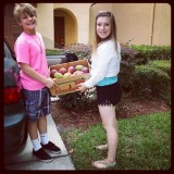 Mangos from the market! We came home with $100 worth of produce!