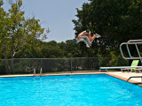Divingboard fun #2