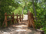 Hiking and nature study #4