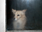 On the outside looking in