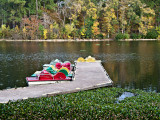 Paddle boats for rent