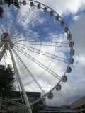 Brisbane Wheel at Southbank