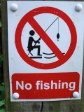 ... but no fishing 