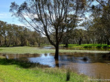 Overflowing Wannan River