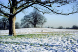 Snow covered Hampstead Heath, London