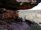 Palm Valley walk, view from cave high over Finke rRver