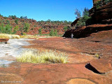 Palm Valley walk, the ancient bed of the Finke River