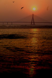 Sealink bandra, Mumbai_DSF6174.jpg