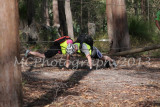 Low Ropes (57).jpg
