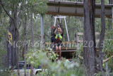 Flying Fox (12).jpg