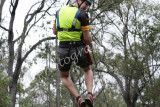 Flying Fox (24).jpg