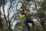 Flying Fox (43).jpg