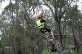 Flying Fox (49).jpg