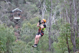 Flying Fox (94).jpg