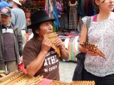 Market master of the harp