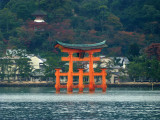 floating torii at high tide P1010289.jpg