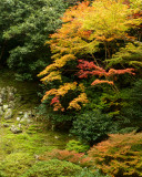 ginkakuji P1010464.jpg