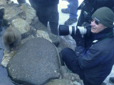 Dave at the Snow Monkey site