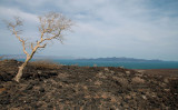 Lake Turkana, Northern Frontier District, Kenya