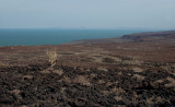 Lake Turkana, Northern Frontier District, Kenya