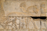 Sagartians from Yazd, Apadana Staircase, Persepolis - Levels adjusted