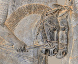 Lydian horses, Apadana Staircase, Persepolis