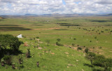 Battle of Isandlwana, Anglo-Zulu War