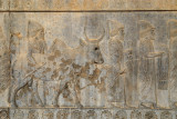 Babylonian Delegation, Apadana Staircase, Iran - Levels Adjusted
