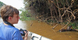 Giant Otters, Pantanal, Brazil